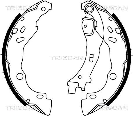 Triscan 8100 10009 - Комплект гальм, барабанний механізм autozip.com.ua