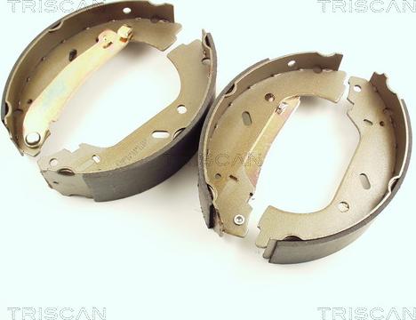 Triscan 8100 10004 - Комплект гальм, барабанний механізм autozip.com.ua