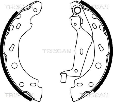 Triscan 8100 10005 - Комплект гальм, барабанний механізм autozip.com.ua