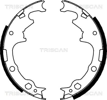 Triscan 8100 10001 - Комплект гальм, барабанний механізм autozip.com.ua