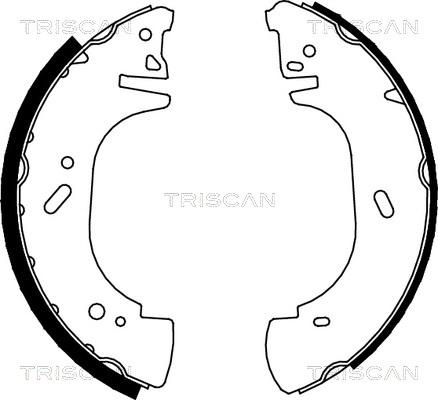 Triscan 8100 10002 - Комплект гальм, барабанний механізм autozip.com.ua