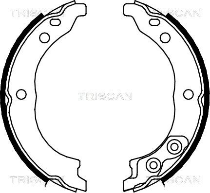 Triscan 8100 10010 - Комплект гальм, ручник, парковка autozip.com.ua