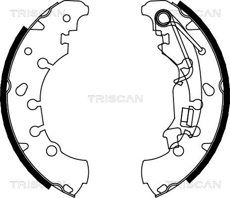 Triscan 8100 10011 - Комплект гальм, барабанний механізм autozip.com.ua