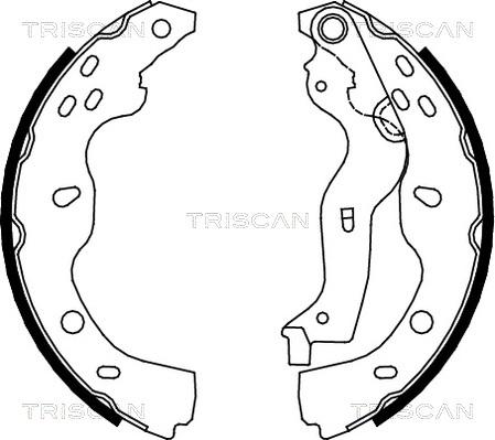 Triscan 8100 10013 - Комплект гальм, барабанний механізм autozip.com.ua