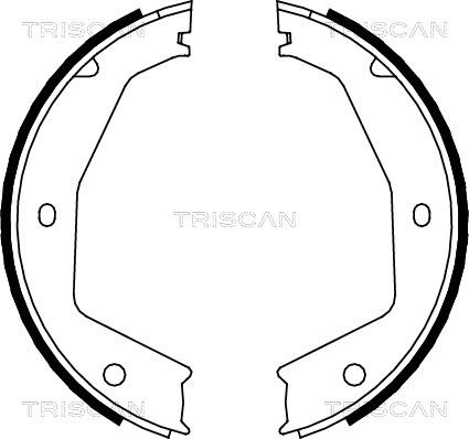 Triscan 8100 10034 - Комплект гальм, ручник, парковка autozip.com.ua