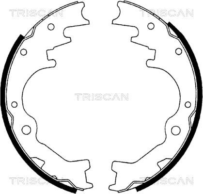 Triscan 8100 10035 - Комплект гальм, барабанний механізм autozip.com.ua