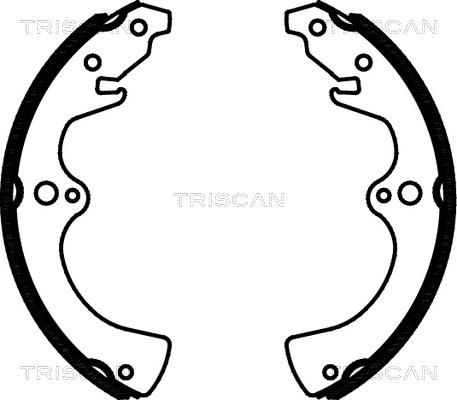 Triscan 8100 10036 - Комплект гальм, барабанний механізм autozip.com.ua