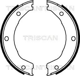 Triscan 8100 10030 - Комплект гальм, ручник, парковка autozip.com.ua