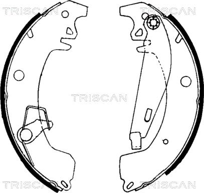 Triscan 8100 10031 - Комплект гальм, барабанний механізм autozip.com.ua