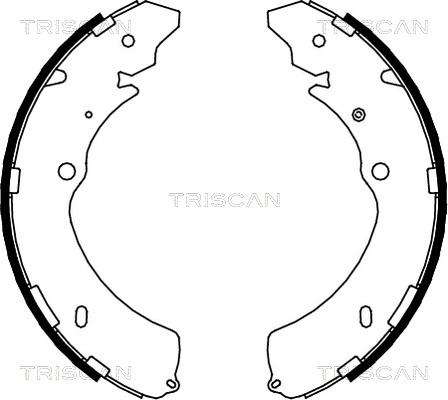 Triscan 8100 10032 - Комплект гальм, барабанний механізм autozip.com.ua