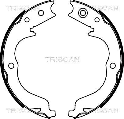 Triscan 8100 10029 - Комплект гальм, барабанний механізм autozip.com.ua