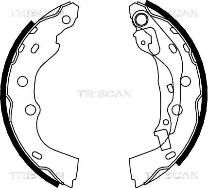 Triscan 8100 10025 - Комплект гальм, барабанний механізм autozip.com.ua