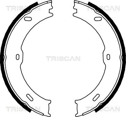 Triscan 8100 10023 - Комплект гальм, барабанний механізм autozip.com.ua
