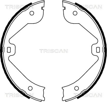 Triscan 8100 10022 - Комплект гальм, барабанний механізм autozip.com.ua