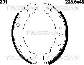 Triscan 8100 10301 - Комплект гальм, барабанний механізм autozip.com.ua