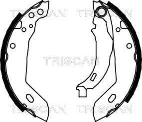 Triscan 8100 10389 - Комплект гальм, барабанний механізм autozip.com.ua