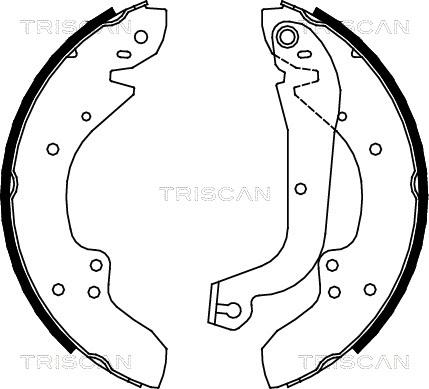 Triscan 8100 10374 - Комплект гальм, барабанний механізм autozip.com.ua