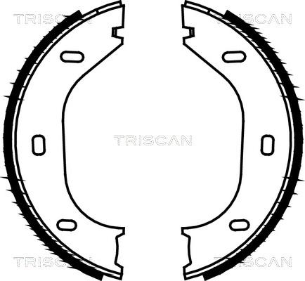 Triscan 8100 10290 - Комплект гальм, ручник, парковка autozip.com.ua
