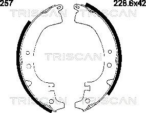 Triscan 8100 10257 - Комплект гальм, барабанний механізм autozip.com.ua