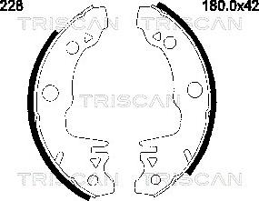 Triscan 8100 10228 - Комплект гальм, барабанний механізм autozip.com.ua