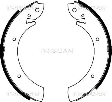 Triscan 8100 10272 - Комплект гальм, барабанний механізм autozip.com.ua