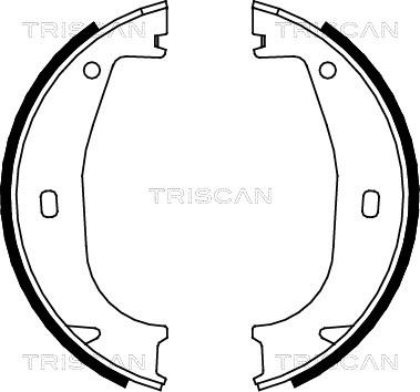 Triscan 8100 11553 - Комплект гальм, ручник, парковка autozip.com.ua