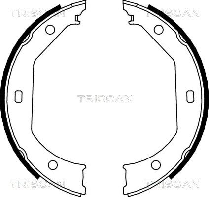 Triscan 8100 11638 - Комплект гальм, барабанний механізм autozip.com.ua
