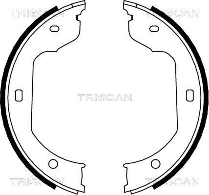 Triscan 8100 11012 - Комплект гальм, барабанний механізм autozip.com.ua