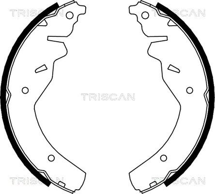 Triscan 8100 18595 - Комплект гальм, барабанний механізм autozip.com.ua