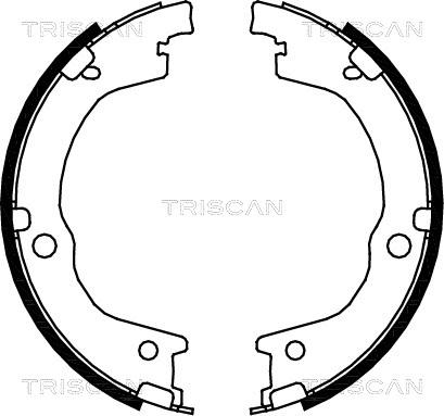 Triscan 8100 18006 - Комплект гальм, барабанний механізм autozip.com.ua