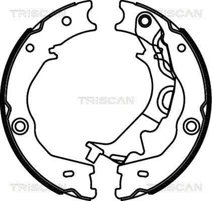 Triscan 8100 18014 - Комплект гальм, ручник, парковка autozip.com.ua