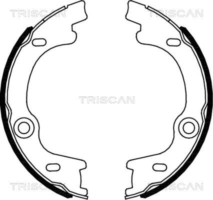 Triscan 8100 18010 - Комплект гальм, ручник, парковка autozip.com.ua