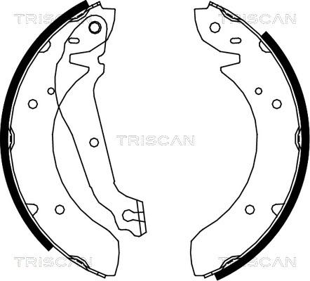 Triscan 8100 18013 - Комплект гальм, барабанний механізм autozip.com.ua
