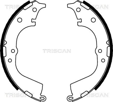 Triscan 8100 13591 - Комплект гальм, барабанний механізм autozip.com.ua