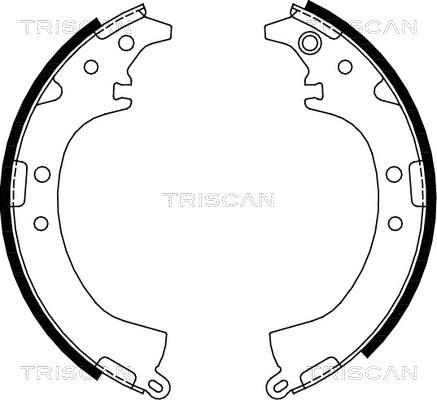 Triscan 8100 13569 - Комплект гальм, барабанний механізм autozip.com.ua