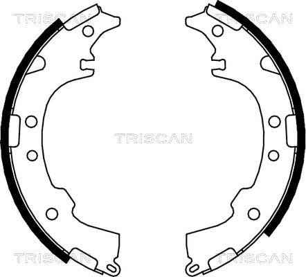 Triscan 8100 13601 - Комплект гальм, барабанний механізм autozip.com.ua