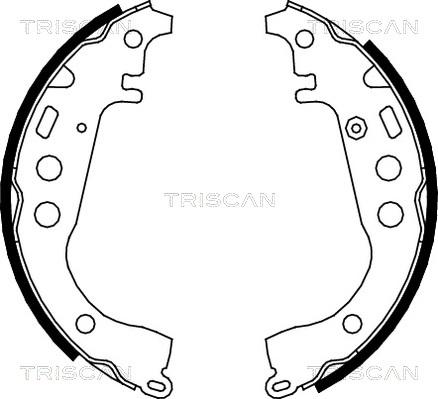 Triscan 8100 13617 - Комплект гальм, барабанний механізм autozip.com.ua