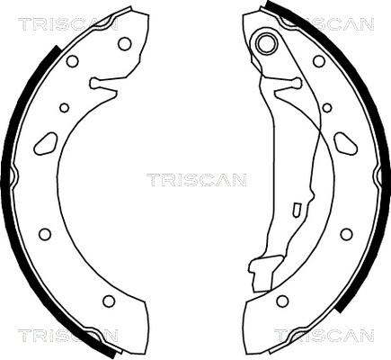 Triscan 8100 13624 - Комплект гальм, барабанний механізм autozip.com.ua