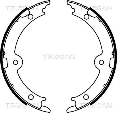 Triscan 8100 13045 - Комплект гальм, ручник, парковка autozip.com.ua