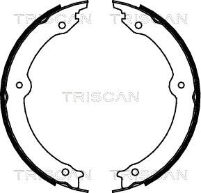 Triscan 8100 13046 - Комплект гальм, ручник, парковка autozip.com.ua