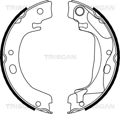 Triscan 8100 13041 - Комплект гальм, ручник, парковка autozip.com.ua