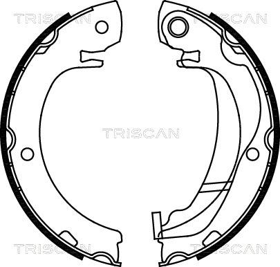 Triscan 8100 13047 - Комплект гальм, ручник, парковка autozip.com.ua