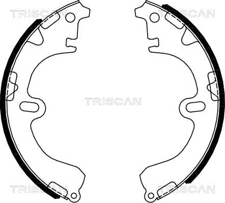 Triscan 8100 13051 - Комплект гальм, барабанний механізм autozip.com.ua