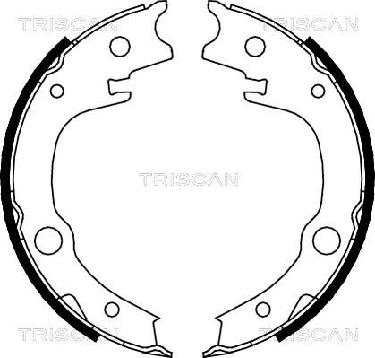 Triscan 8100 13039 - Комплект гальм, ручник, парковка autozip.com.ua