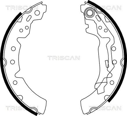 Triscan 8100 13031 - Комплект гальм, барабанний механізм autozip.com.ua