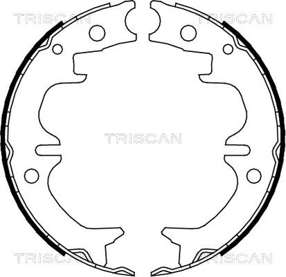 Triscan 8100 13038 - Комплект гальм, ручник, парковка autozip.com.ua