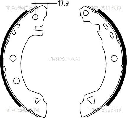 Triscan 8100 12523 - Комплект гальм, барабанний механізм autozip.com.ua