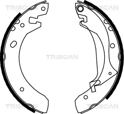 Triscan 8100 17634 - Комплект гальм, барабанний механізм autozip.com.ua