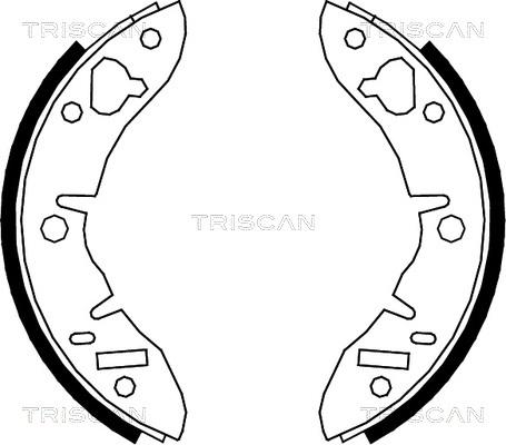 Triscan 8100 17003 - Комплект гальм, барабанний механізм autozip.com.ua