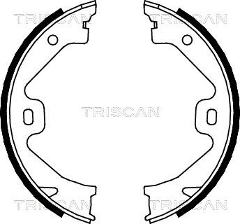 Triscan 8100 17011 - Комплект гальм, ручник, парковка autozip.com.ua
